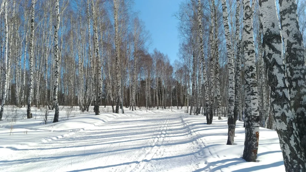 Зима